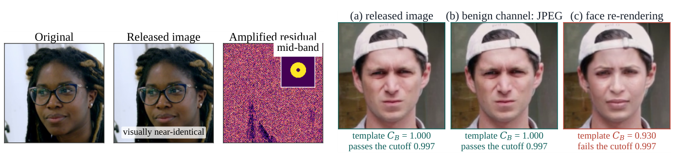 Original vs released image with amplified mid-band residual; template agreement passes for release and JPEG, fails for face re-rendering.