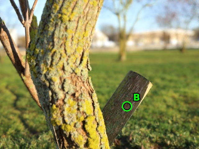 Focus on the second subject; the first one is blurred