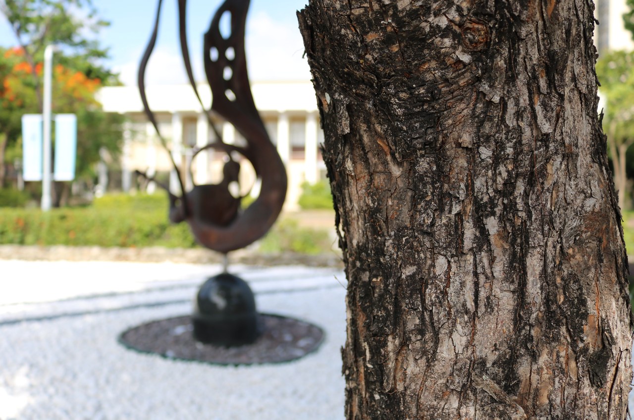 Input photograph with defocus blur