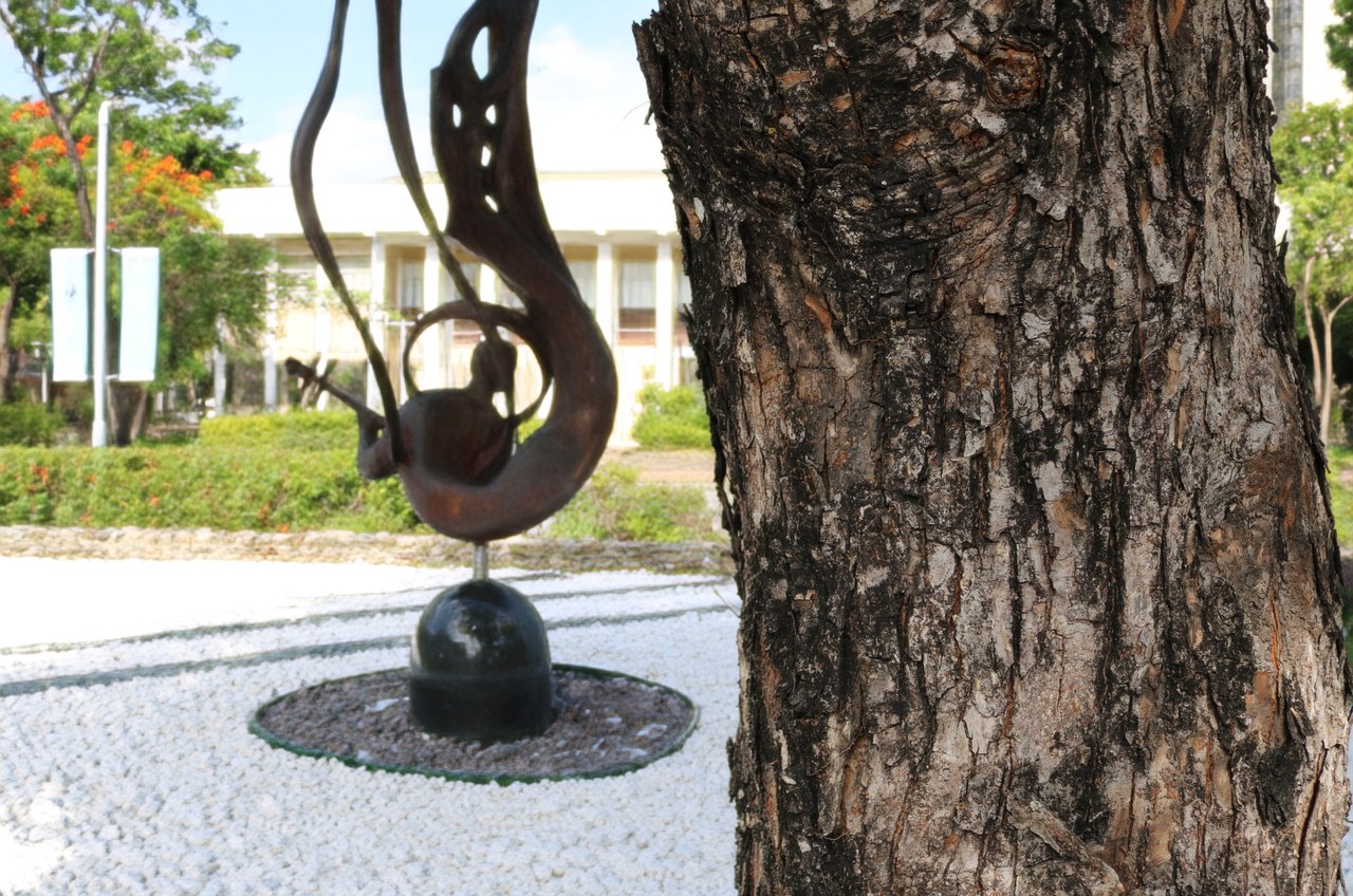 Restored all-in-focus image